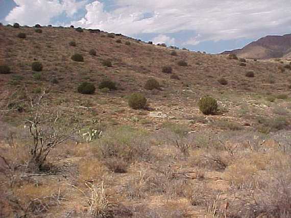 Looking West back to the Confluence