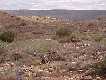 #2: Looking East from the Confluence