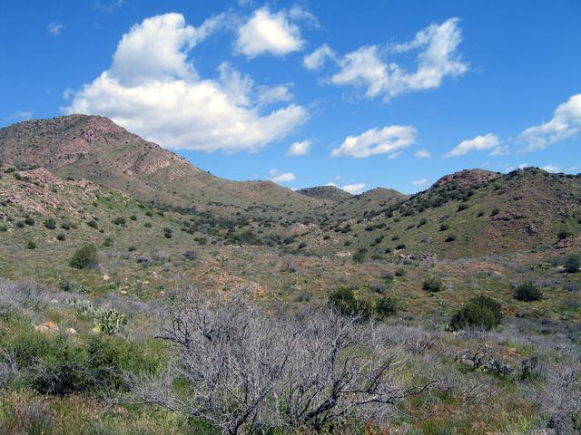 Confluence general area, view northeast