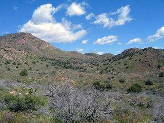 #1: Confluence general area, view northeast