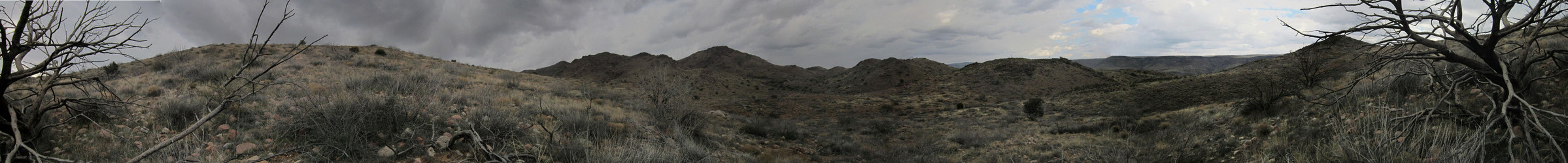 panorama from confluence -- tree skeleton at both ends is about 200 degrees at confluence