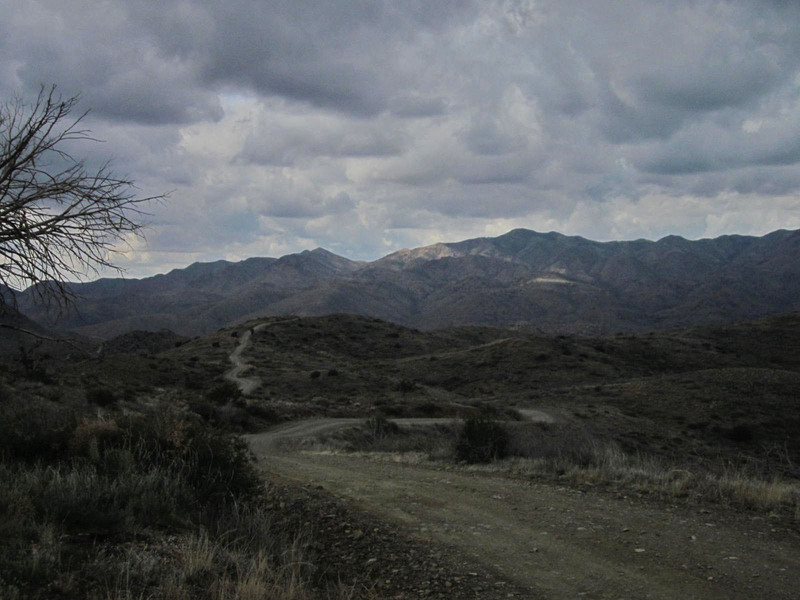 Table Mesa Road on the drive in