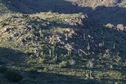 #7: A narrow-angle view of the majestic Saguaro cactus, on the hillside north of the confluence point