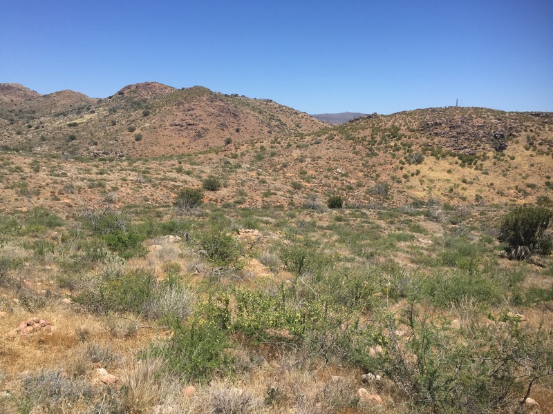 View to the east from the confluence. 