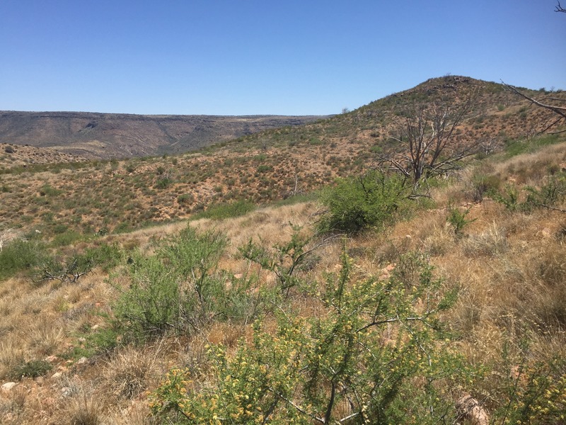 View to the south from the confluence.