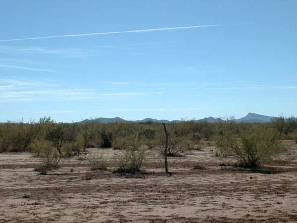 Flat desert surrounds the confluence