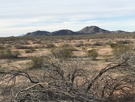 #10: Better view of the landscape to the north, from a point 50 meters northwest of the confluence.