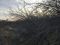 #7: View to the west from the confluence.