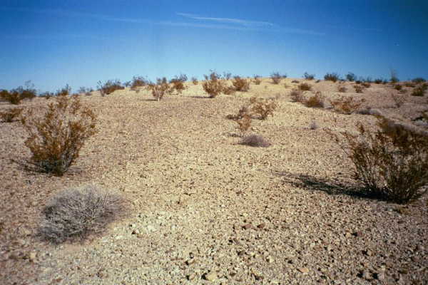 A view from the confluence point