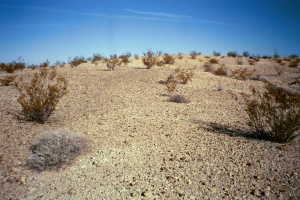 #1: A view from the confluence point