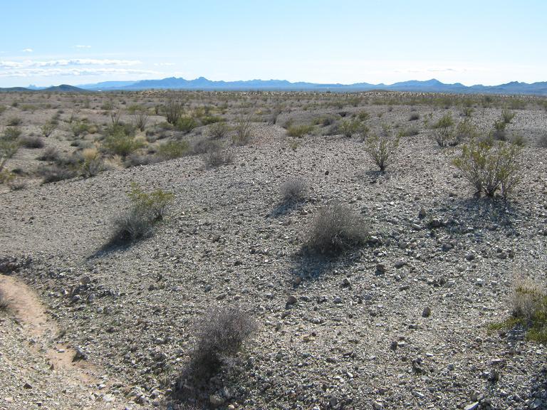 South view, Bouse Hills in the distance