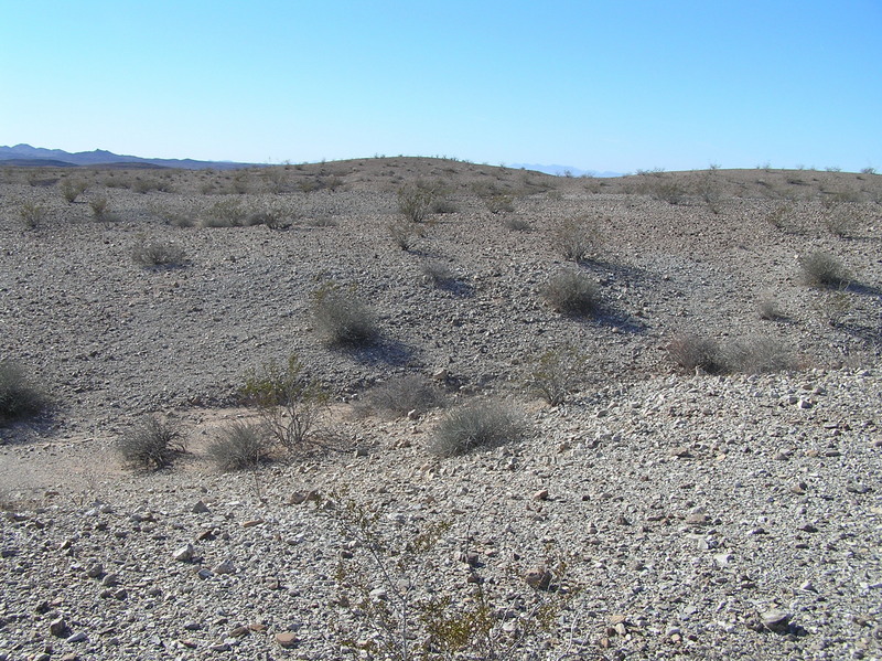 The confluence lies just across the gully in the middle of this photograph, looking west.