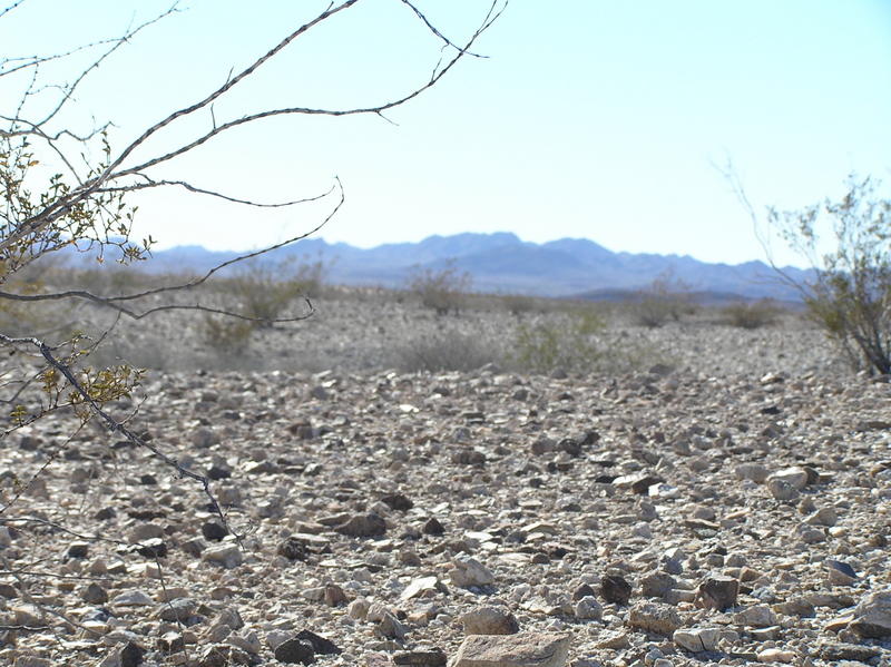 View to the southwest from the confluence.