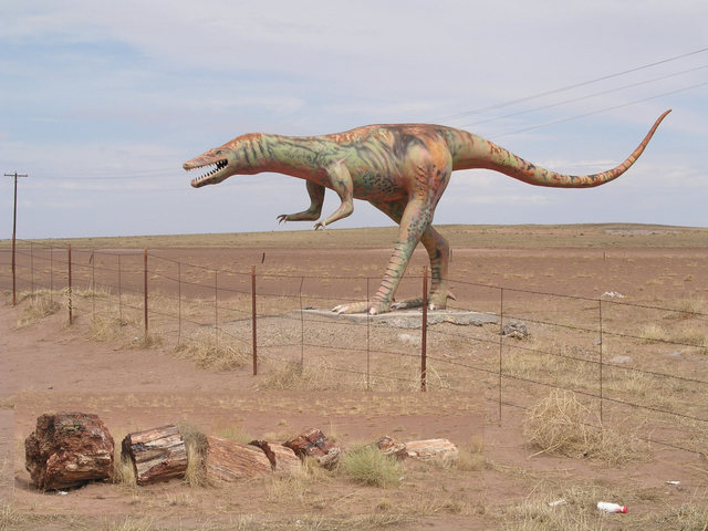 Former fauna and flora at the nearest nearby attraction [a cheezy dinosaur and - genuine, albeit relocated - petrified wood]