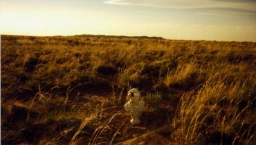 #1: A view of the meteor crater