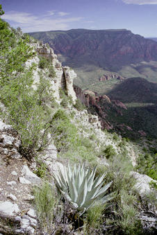 #1: View East along cliff, confluence is about 180m to right at center of pic