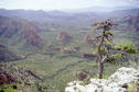 #2: View south along Sycamore Canyon