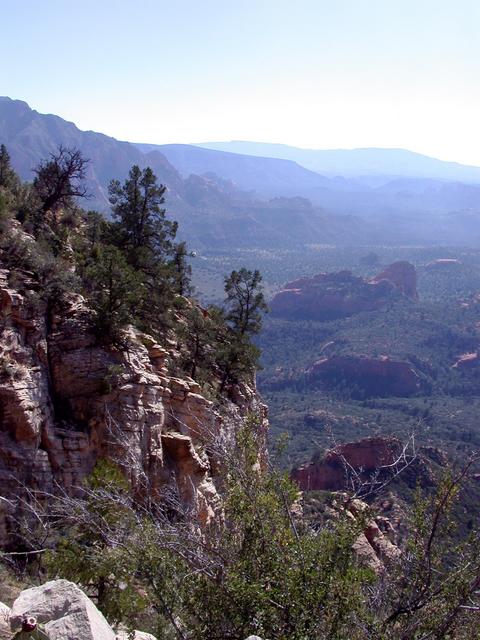 Area shot: the confluence is down the cliff right below the tree in the center.