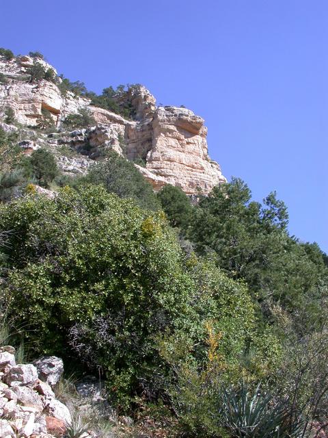 View East from Confluence