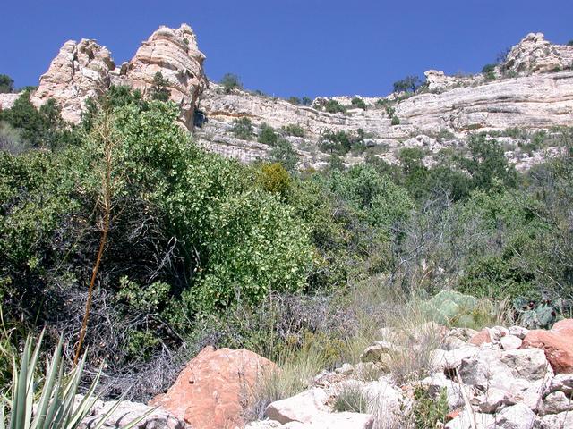 View north from Confluence (the route back)