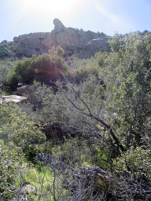 View south.  Note distinctive rock prominence in upper center of photo