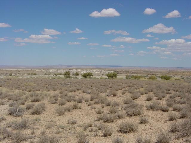 Coal Mine Canyon (NE)