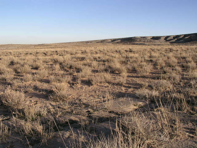 Looking east from 36N 111W