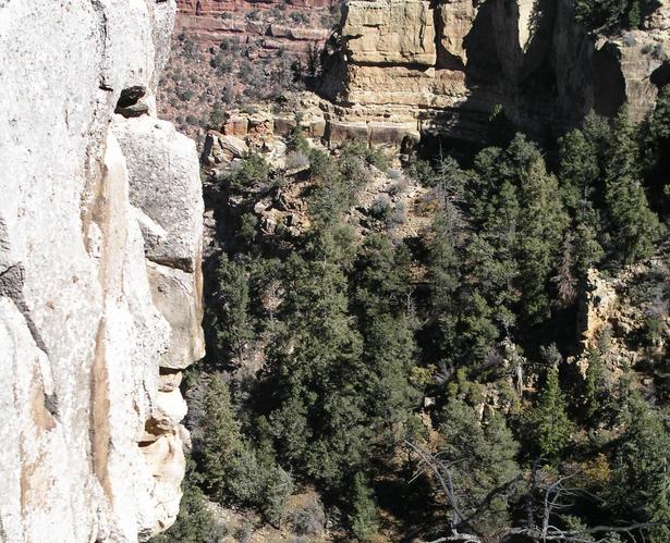 Looking down on 36N 112W from the Grand Canyon's South Rim