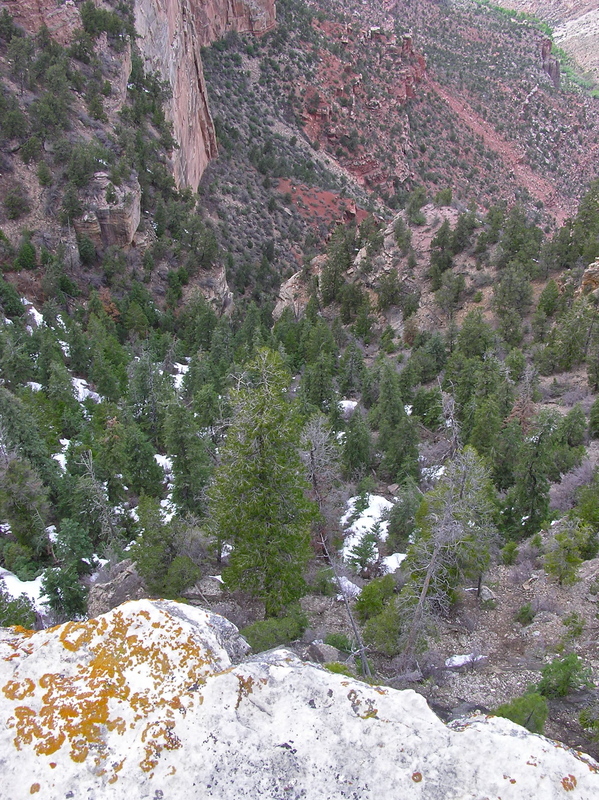 The confluence point lies 403 feet (horizontally) from the front of this rock overhang