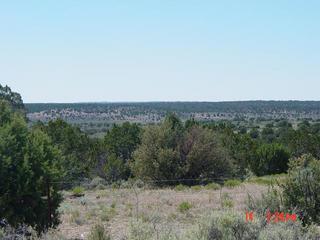 #1: Toward the confluence on Indian Route 16.