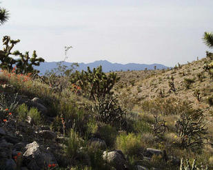 #1: Shows the confluence looking back down the wash, towards the northwest.