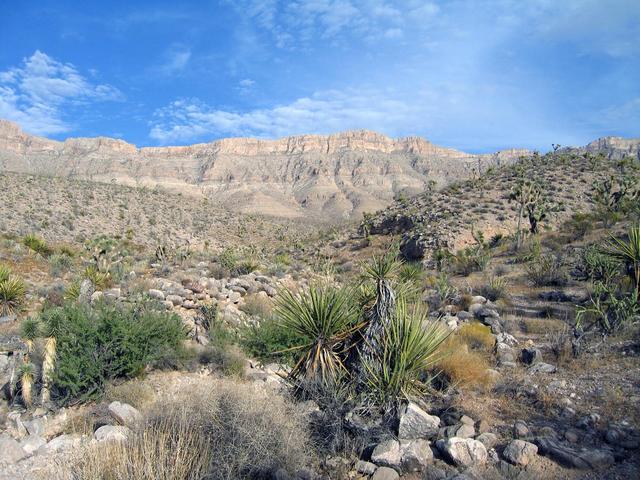 View southeast towards the Grand Wash Cliffs