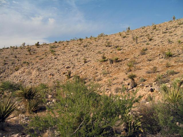 View northeast towards Lake Mead