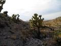 #3: View northwest down the ravine I would hike out