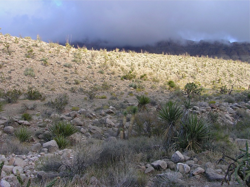 View East (towards the fog-shrouded Grand Wash Cliffs)