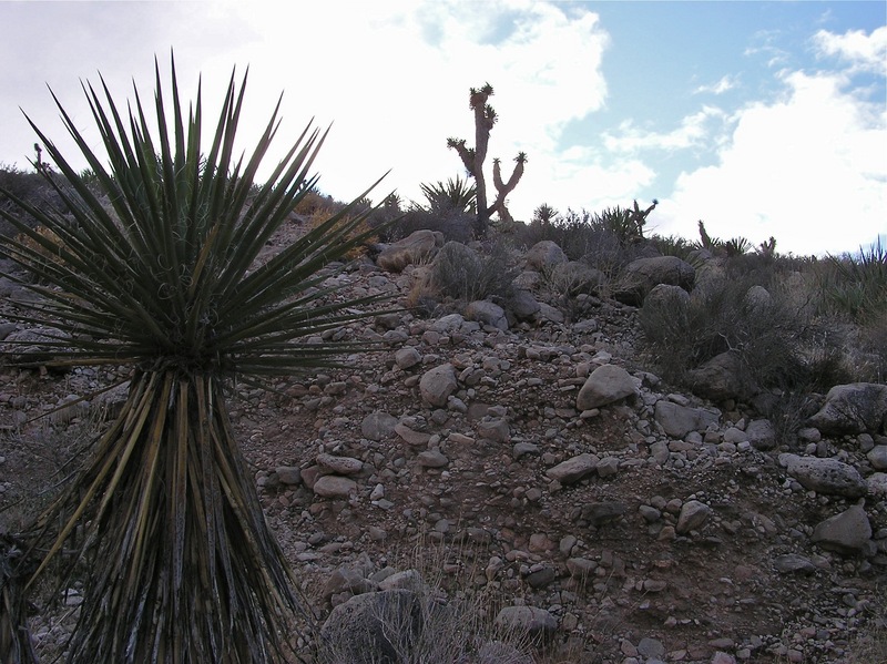 View West (up the side of the neighboring hill)