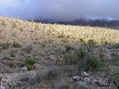 #3: View East (towards the fog-shrouded Grand Wash Cliffs)