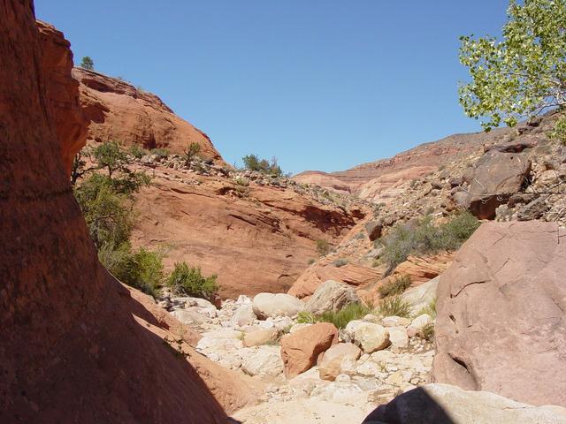 Looking toward Rainbow Plateau at turn around