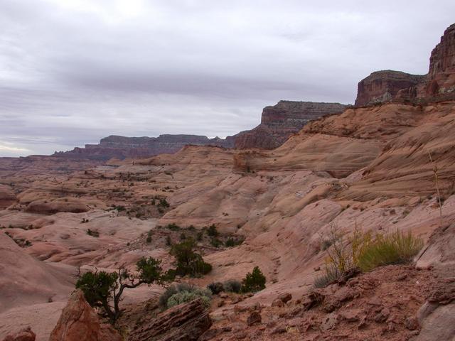 South up Aztec Creek, Cummings Mesa on right