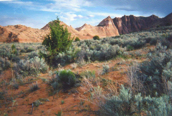 coyote buttes