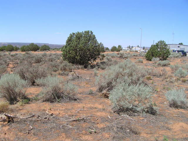 View to the west from the confluence.