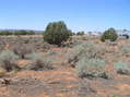 #4: View to the west from the confluence.