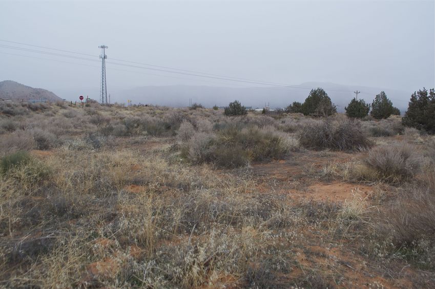 View East (towards highway 389, and Colorado City, Arizona)