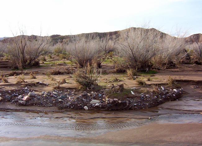 View west.  The confluence is in the water in the foreground.