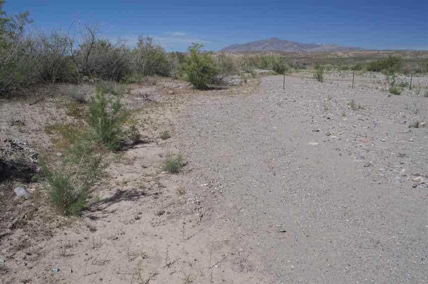 View North (towards a fence that appears to mark the Arizona-Utah state line)