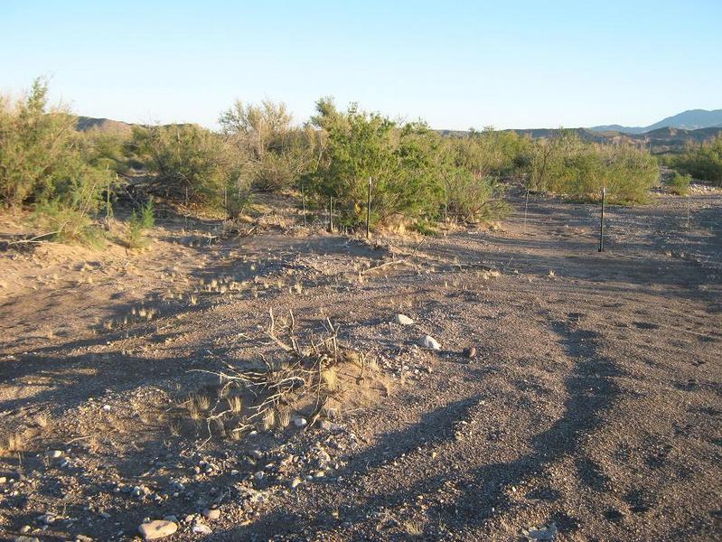 North view and the state-line fence