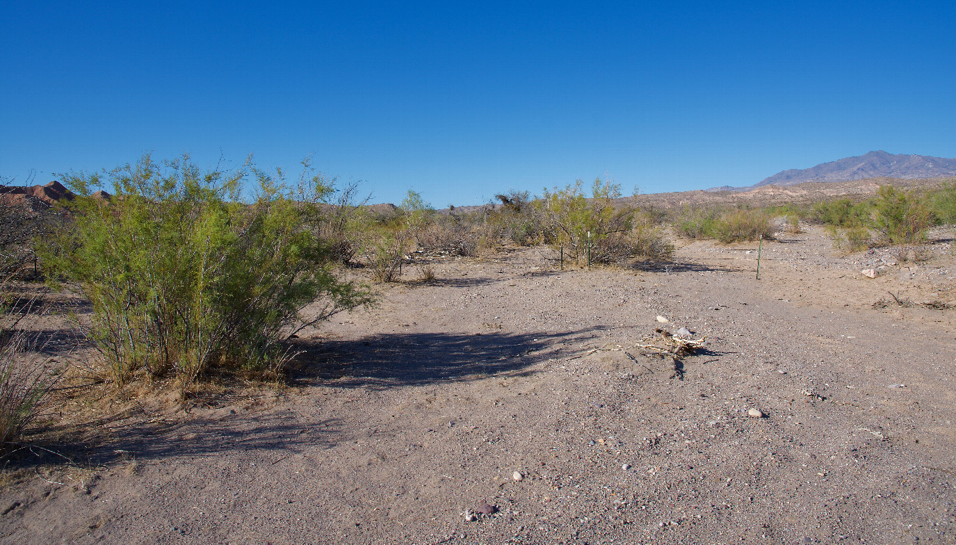 The confluence point lies in a (currently dry) creek bed.  (This is also a view to the North, into Utah.)