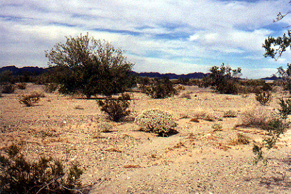 Looking north fron N33 W115