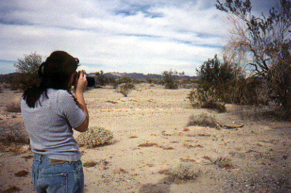 Kelly shoots the tree