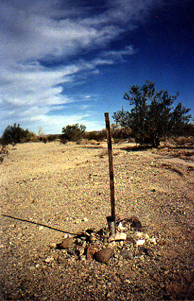 The BLM marker